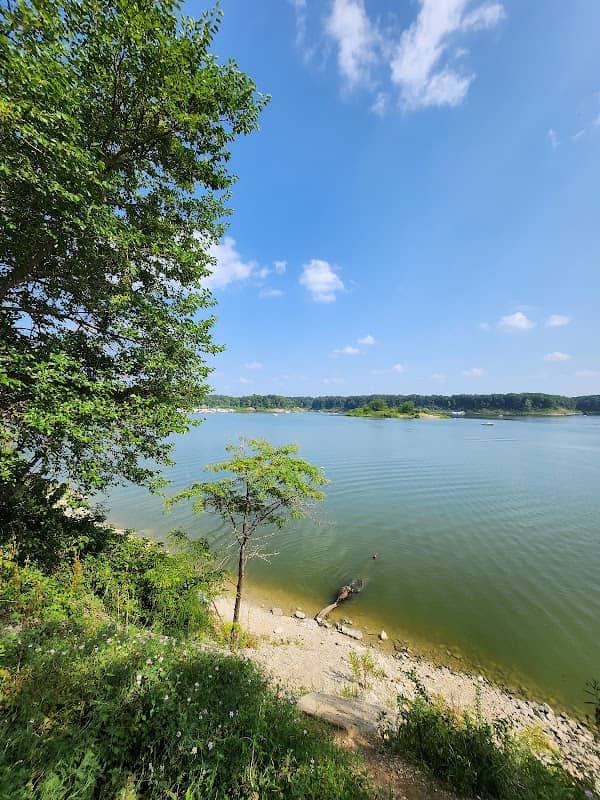 Salamonie State Park - Image 1