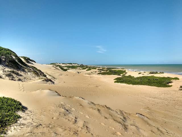 Itaúnas dunes - Image 1