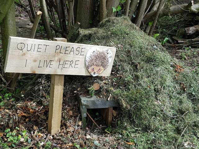 Wigmore Fairy Village - Image 2