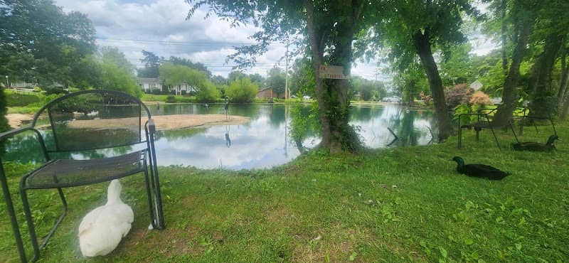 Duck Pond Park - Image 2