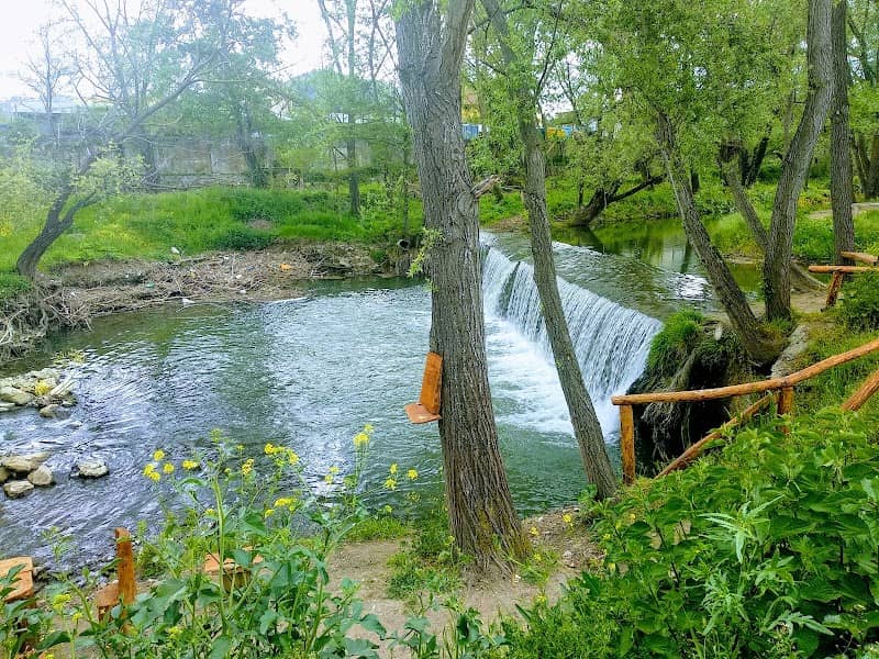 Ponte Musmeci - Image 2