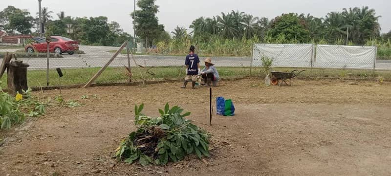 Rck Guarana Farm - Image 2