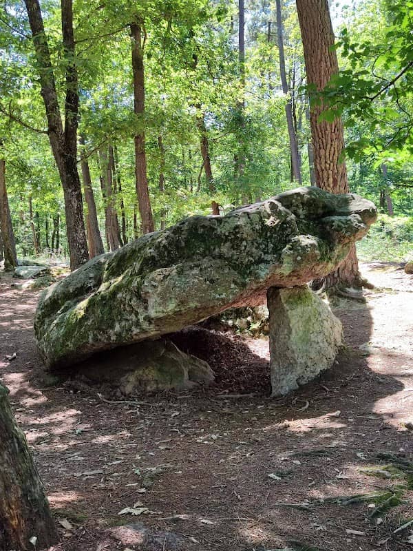 Dolmen de la Pierre Procureuse - Image 1