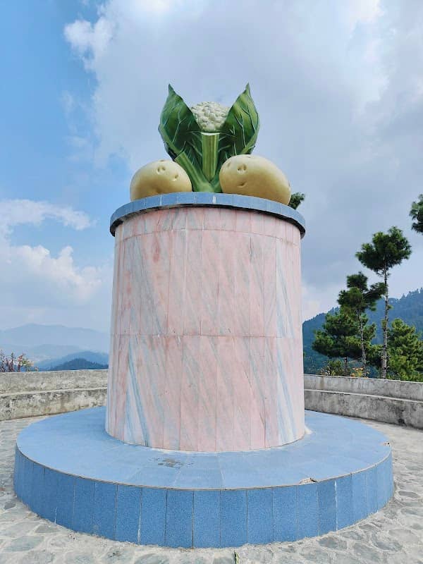 Cauliflower & Potato Statue - Image 1