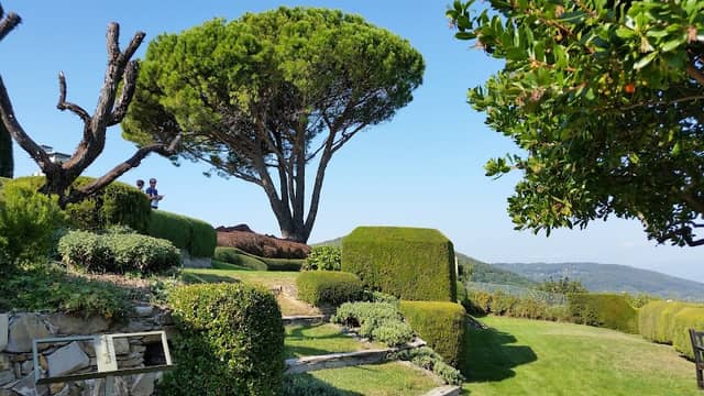 La MARRANA arte Ambientale - Image 2