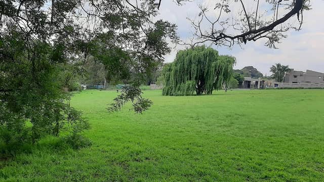 Linksfield Ridge Park - Image 1