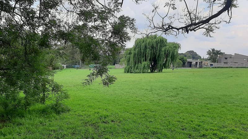 Linksfield Ridge Park - Image 1