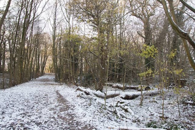 Murdishaw Wood East - Image 2