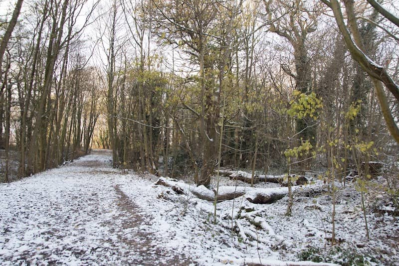 Murdishaw Wood East - Image 2