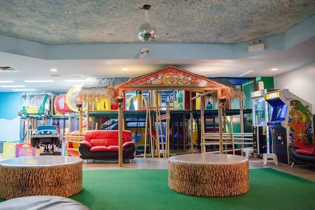 Jungle Mania - Image 1