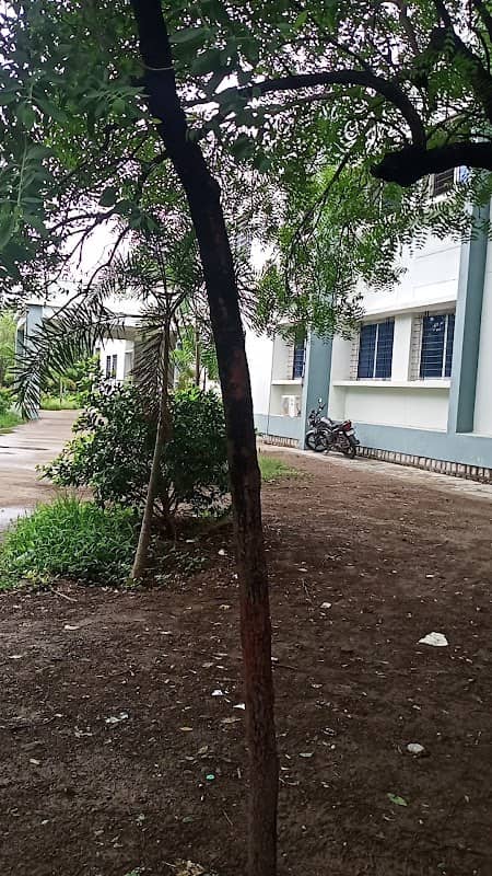 KASHIF'S COLONY GARDEN - Image 1