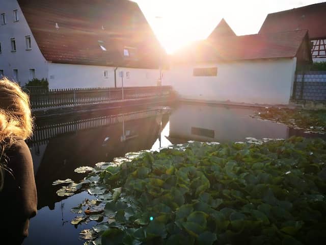 Dorfweiher Neunhof - Image 1