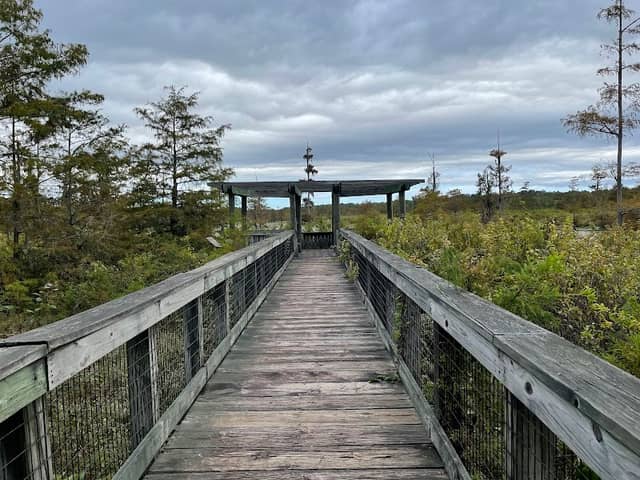 The Iatt Lake Observation Pier - Image 1