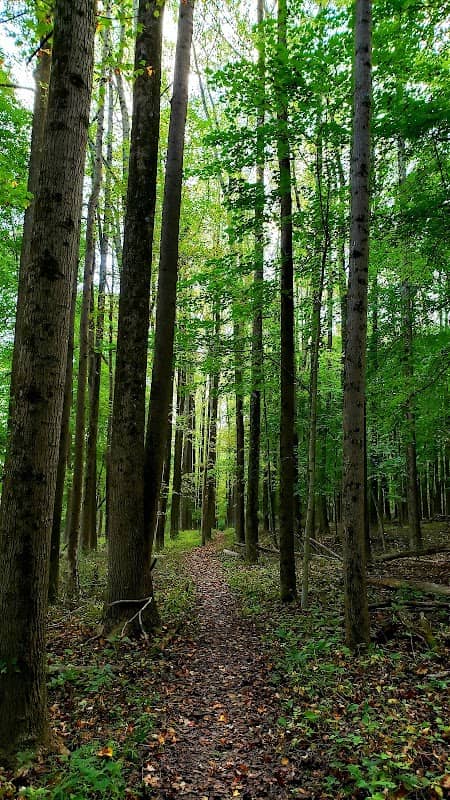 Denison Biological Reserve / Polly Anderson Field Station - Image 2