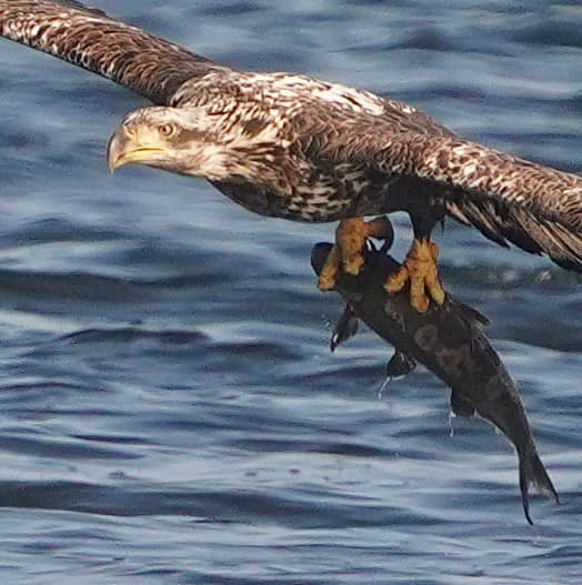 EaglePoint - Image 2