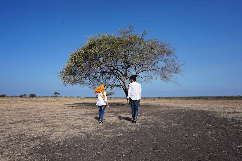 Baluran National Park - Image 1