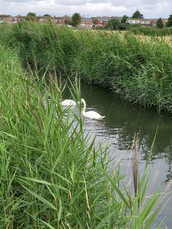 Prestatyn Nature Reserve - Image 1