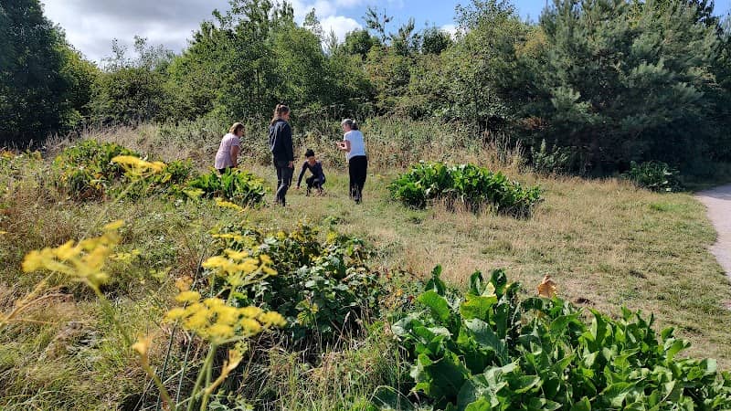 Prestatyn Nature Reserve - Image 2
