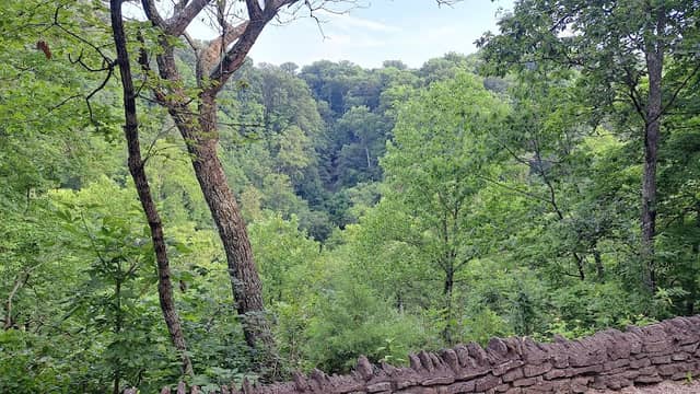 Clifty Falls State Park Nature Center - Image 1