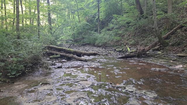 Clifty Falls State Park Nature Center - Image 3