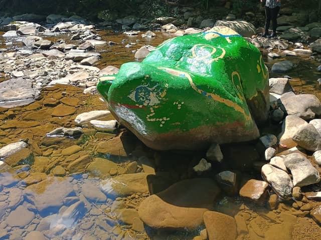 Rio Rock Turtle - Image 1