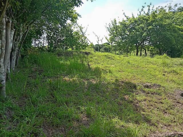 Finca El Tablón - Image 1