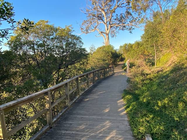Mitchell River Walk - Image 1