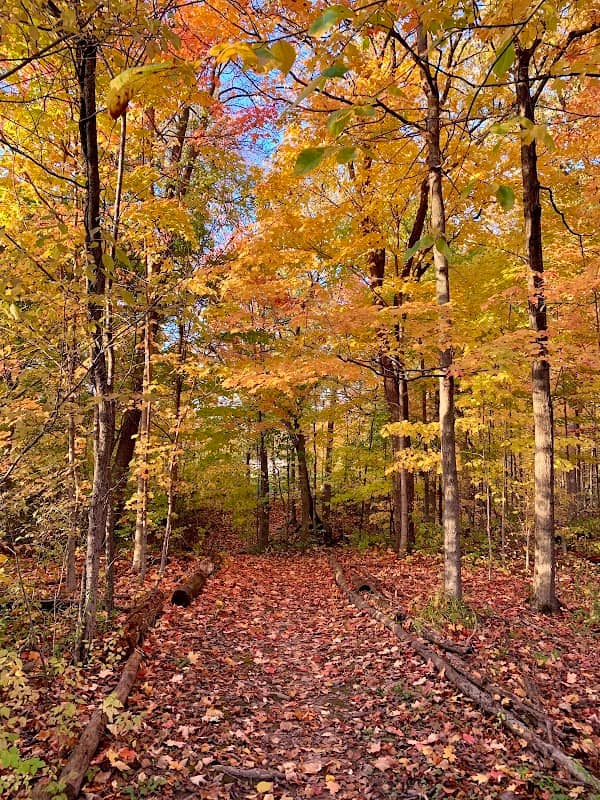 Oakwood Park - Image 1