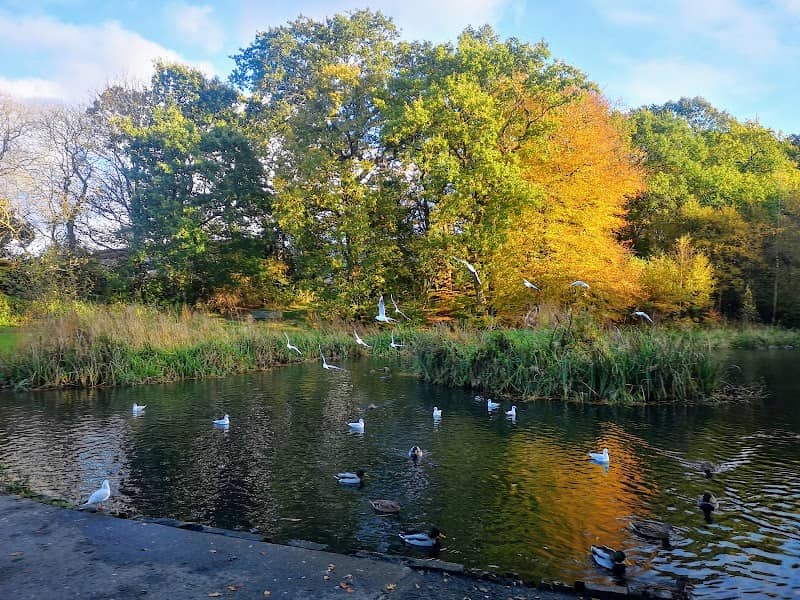 Lanthorn Park - Image 2