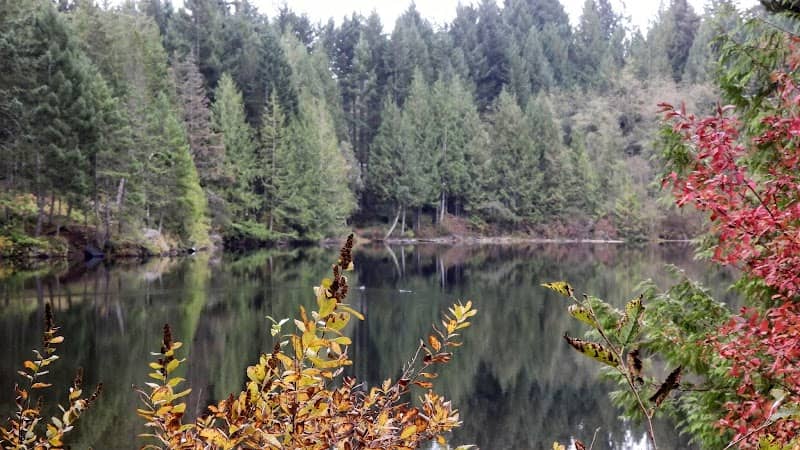 Wigglesworth Lake Regional Park - Image 1