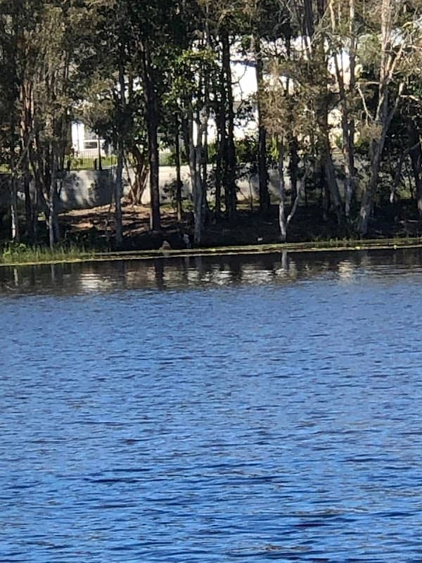 Verschave Lake - Image 2