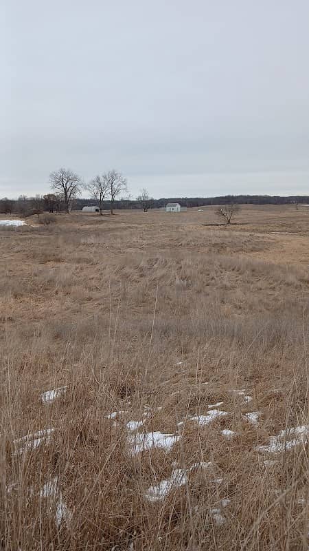Keystone Woods WMA - Image 1