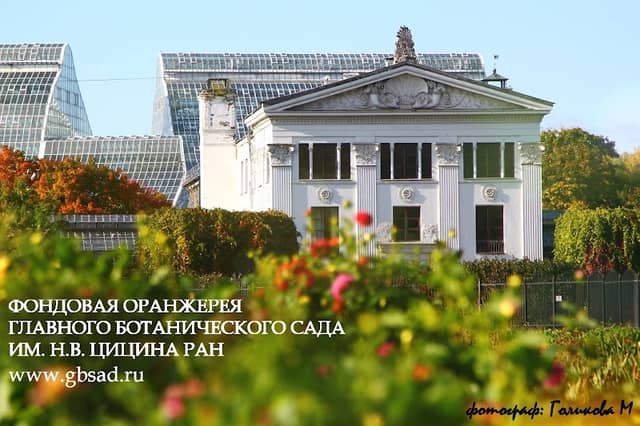 Old greenhouse stock - Image 1