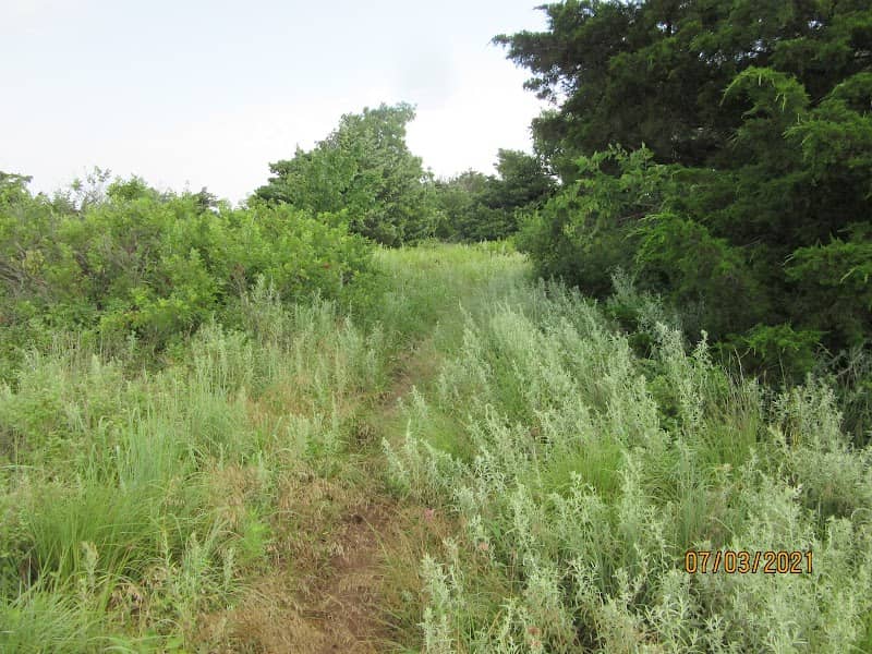 Natural Spring - Image 2