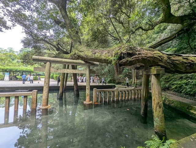 Mitarashi Park - Image 1