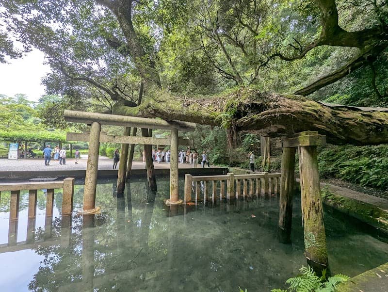 Mitarashi Park - Image 1