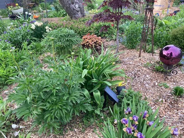 Joomangee Gardens - Image 2