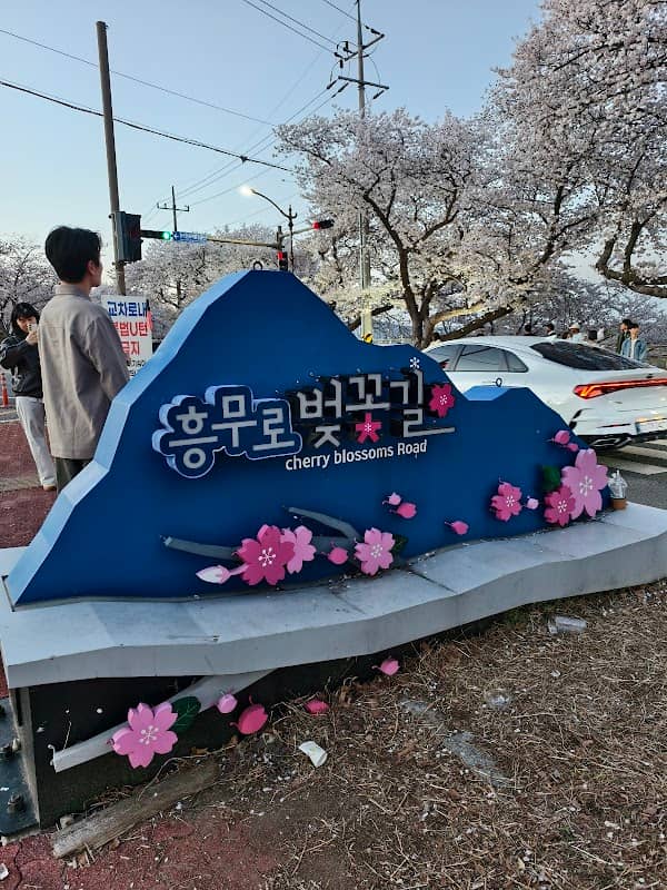 Cherry Blossoms Road - Image 1