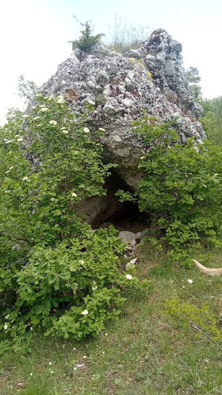 Grotta dell'orso - Image 1