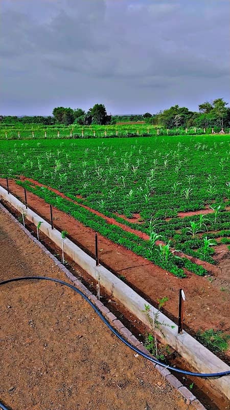 શક્તિ ફાર્મ હાઉસ, મનજીબાપાની વાડી.(Shree Shakti Farm house) - Image 1
