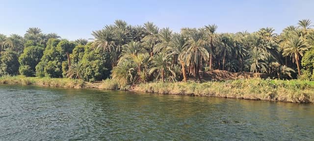 خور الرشيدي - Image 1