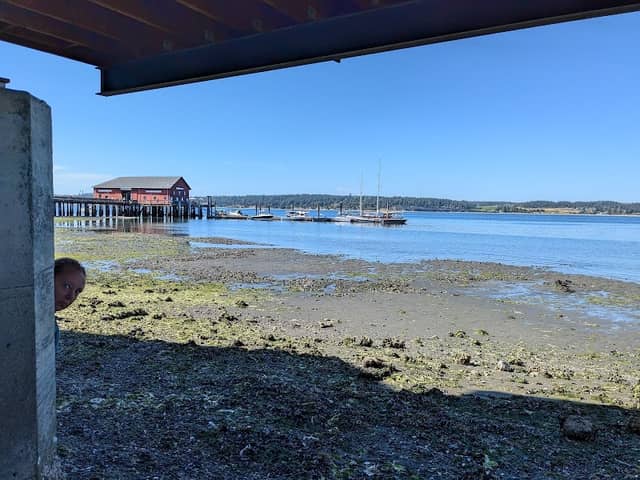 Coupeville Beach - Image 1