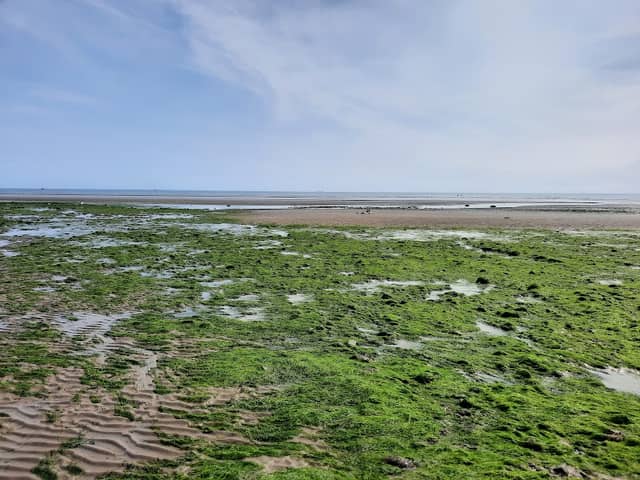 Laytown beach - Image 2