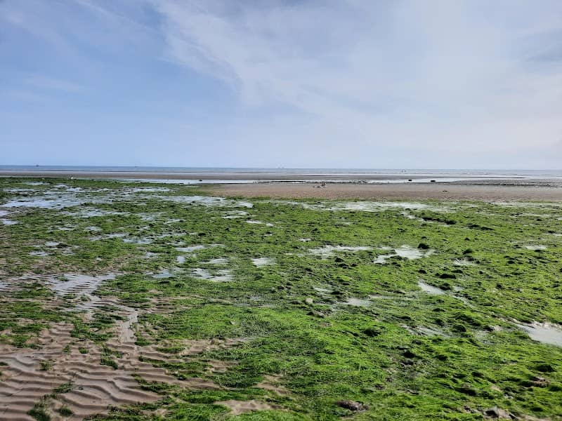 Laytown beach - Image 2