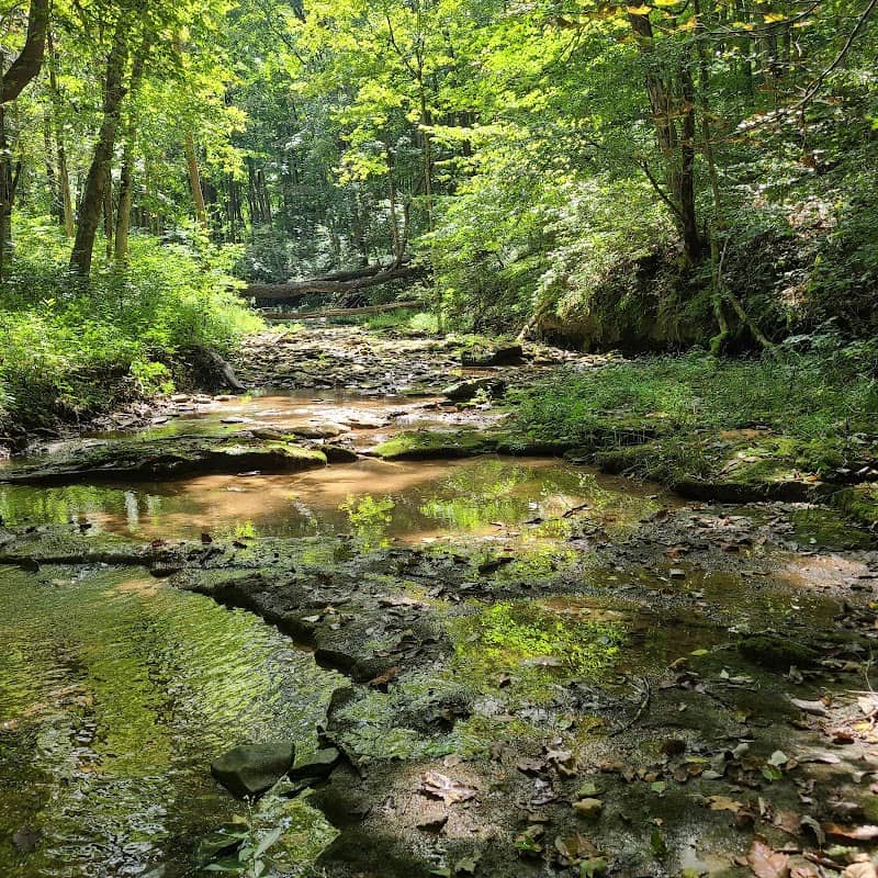 Henderson Park/Twin Creek Valley Nature Preserve - Image 2