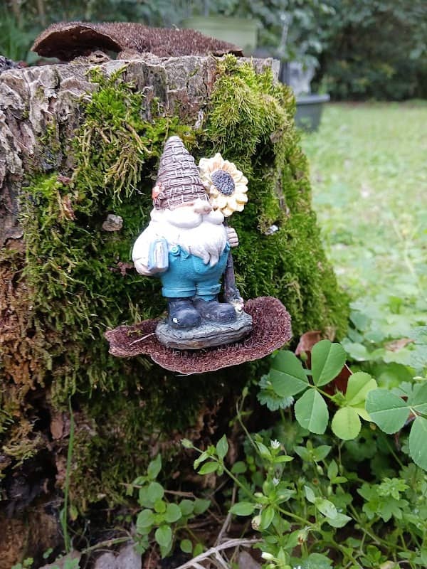 Castin's Garden - Image 1
