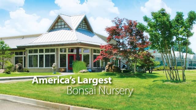 Brussel's Bonsai Nursery, LLC - Image 1