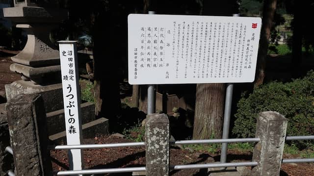 うつぶしの森(白佐波神社) - Image 1