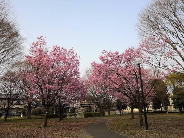 Imaizumi Central Park - Image 1