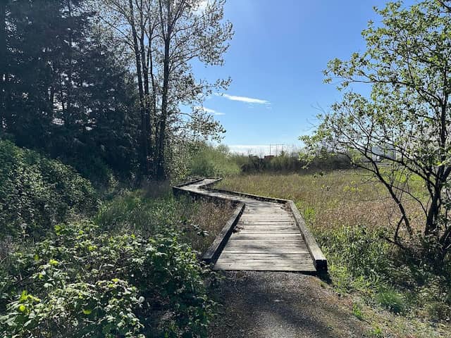 Annacis Wetland Walk - Image 1
